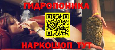 альфа пвп Берёзовский