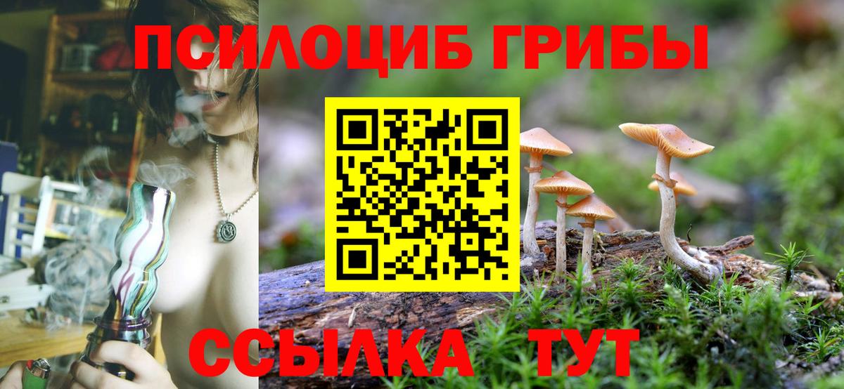 Псилоцибиновые грибы прущие грибы Всеволожск